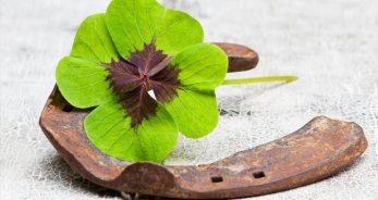 Amuletos de la suerte de Cáncer - CáncerHoy.net